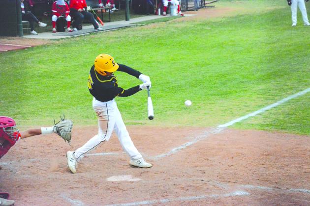 TSN Photo/ Jose Jimenez Aythen Tarin swung at a pitch during the game against the Mustangs.