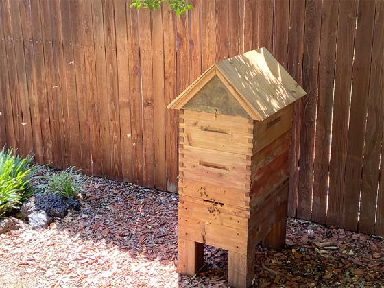 Pictured is the original hive that Hinton started a year ago in his yard.