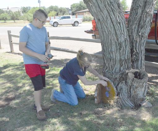 Jeanette Pritchard (right) and her son Randall Pritchard installed fairy and gnome doors on trees in Towle Park on Wednesday.