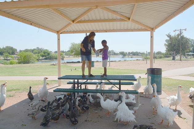Barbara Guerrero (left) and Jeremiah Torrez found themselves surrounded as they fed the ducks and geese in Towle Park on Friday.