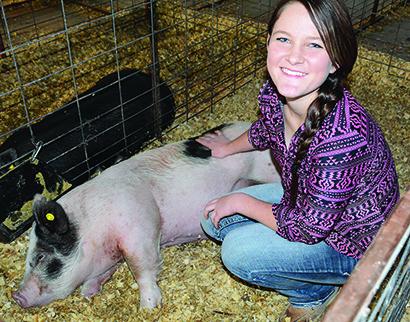 Hermleigh ISD ag student Kami Smith demonstrated how Wilbur the pig lays down as soon as she begins scratching him. Smith will exhibit pigs in Hermleigh’s Future Farmers of America (FFA) chapter show on Saturday and at the Scurry County Junior Livestock Association Show, which will be held next week.