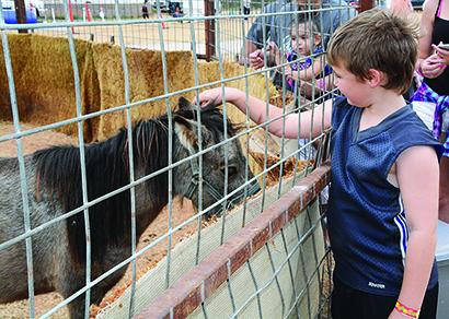 Lucas Wright petted a donkey at the petting zoo that was one of the activities during the sixth annual Save Second Base Music Festival on Saturday. Activities were held and all proceeds will be used to pay for mammograms at Cogdell Memorial Hospital.