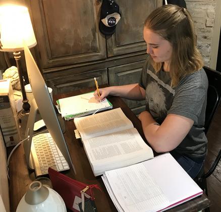 Western Texas College student Abbey Stephens does her schoolwork at her home in Snyder. WTC made the move to online classes due to COVID-19.
