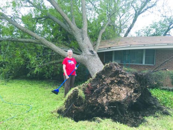 Snyder resident Fay Harrell began the clean up process this week after a tree uprooted and fell on her roof in the 2800 block of 47th Street.