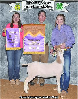 Ira’s Madison Peterson (right) showed the grand champion goat at the 2016 Scurry County Junior Livestock Association show. Also pictured are Stormie Sellers and judge Chad Coburn.
