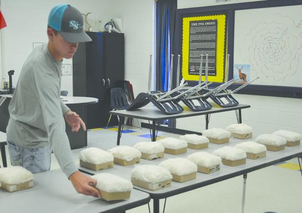 Snyder High School Future Farmers of America (FFA) student Kade Hunter practiced cotton judging for this month’s Career Development Events (CDE) competition.
