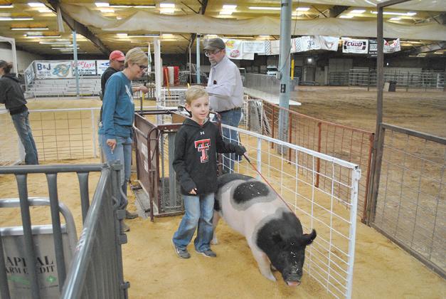 Billy Luna (left) and Brian Patterson (right) helped weigh one Carson Petty’s Hermleigh FFA show pigs. The Scurry County Junior Livestock Association Show began at 2 p.m. with the broiler chicken show. The pig show got underway at 3 p.m. today. Friday, goat and lamb weigh in will begin at 8 a.m. The lamb show will begin at 1 p.m. The goat show will immediately follow, and the steer show is at 5 p.m.